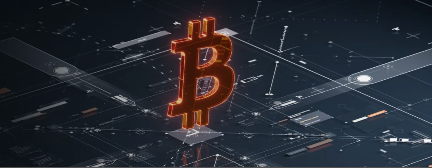 Ledger Wallet 多链账户管理界面示意图